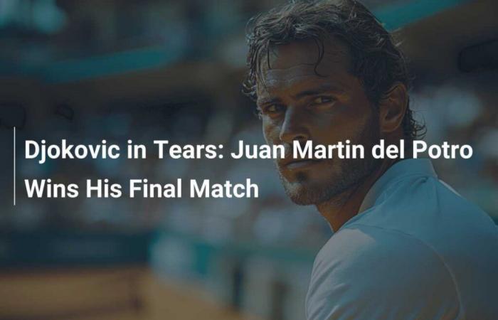 Djokovic in lacrime: Juan Martin del Potro vince la sua ultima partita