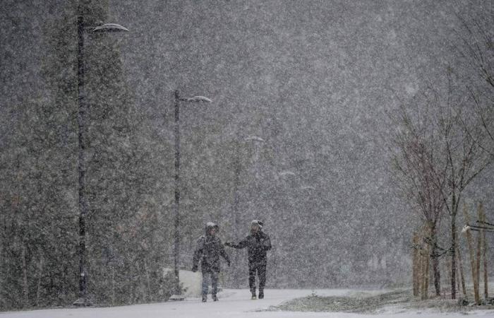 Forti nevicate sul nord della Columbia Britannica che si trasformano in pioggia gelata