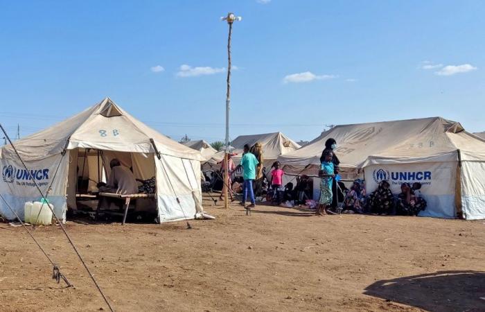 Il mondo in breve | Precipitosa morte in uno stadio in Guinea, sale a 20 il bilancio delle vittime del ciclone Fengal