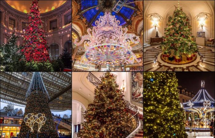 La top 10 degli alberi di Natale più belli di Parigi 2024: tanto da farti brillare gli occhi