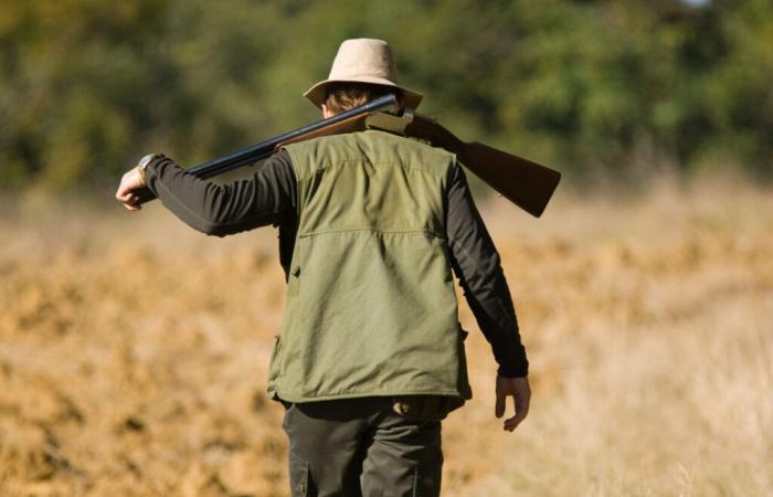 cacciatori e tiratori sportivi obbligati a dichiararli tempestivamente