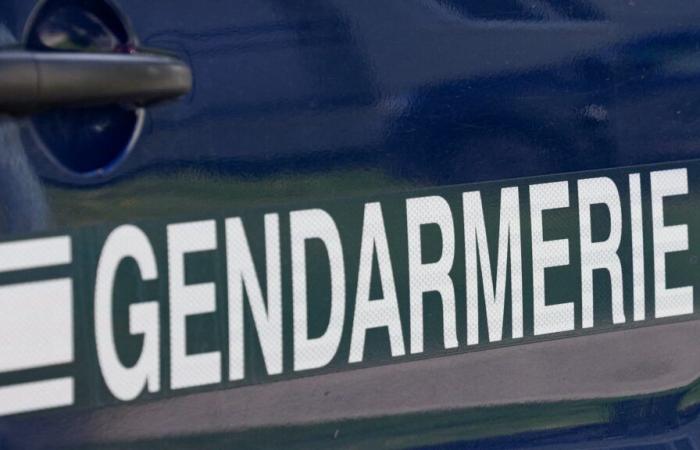 la gendarmeria lancia una raccolta di testimoni dopo la preoccupante scomparsa di un settantenne