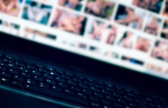 In Francia il blocco dei siti porno si trasforma in un fiasco