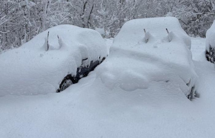 Guasti e chiusure stradali dopo 140 cm di neve in Ontario