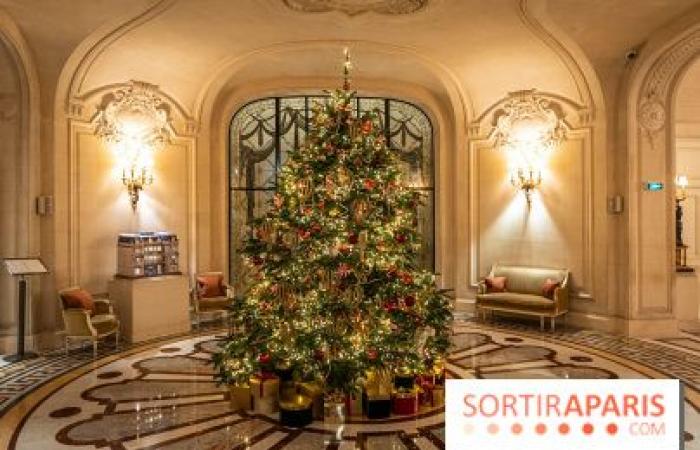 La top 10 degli alberi di Natale più belli di Parigi 2024: tanto da farti brillare gli occhi