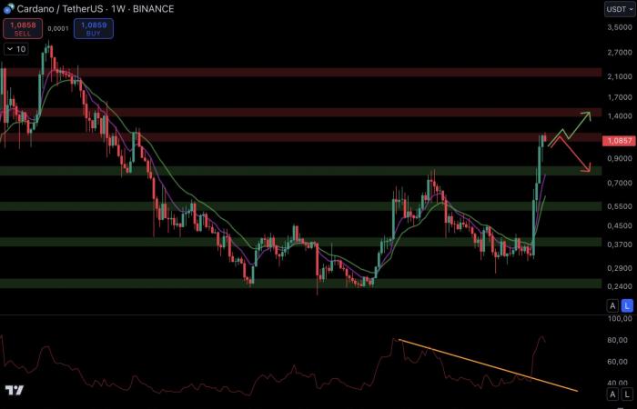 Esplosione a dicembre per le altcoin? – Criptovalute da tenere d'occhio