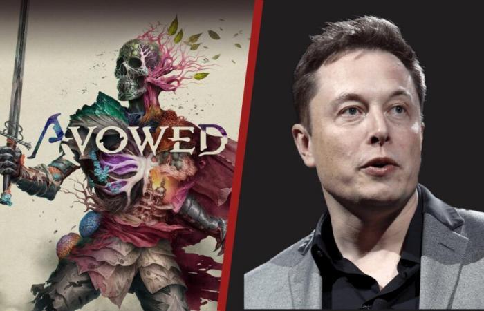 “Totalmente inaccettabile” Elon Musk si comporta come Elon Musk e attacca Avowed, il futuro gioco di ruolo di Obsidian