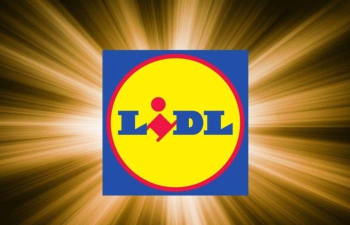 Ebbene sì, Lidl fa anche il Cyber ​​Monday, ed ecco le sue 3 imperdibili offerte Parkside questo lunedì