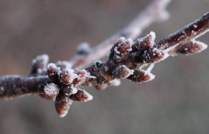 il freddo dovrebbe presto tornare in Francia