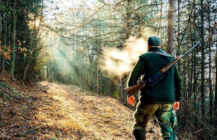 Incidente di caccia: i Giovani Verdi reagiscono