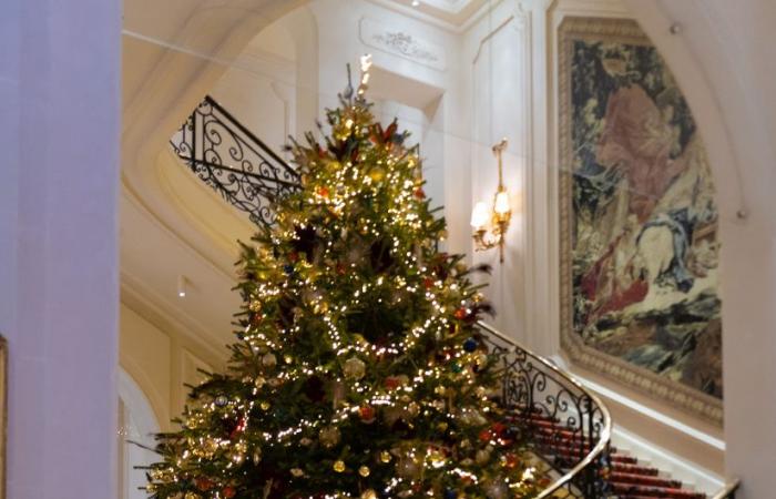 La top 10 degli alberi di Natale più belli di Parigi 2024: tanto da farti brillare gli occhi