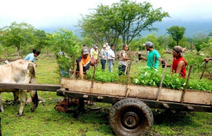 Delémont sospende il suo sostegno finanziario al Nicaragua per motivi politici