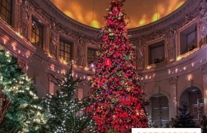 La top 10 degli alberi di Natale più belli di Parigi 2024: tanto da farti brillare gli occhi