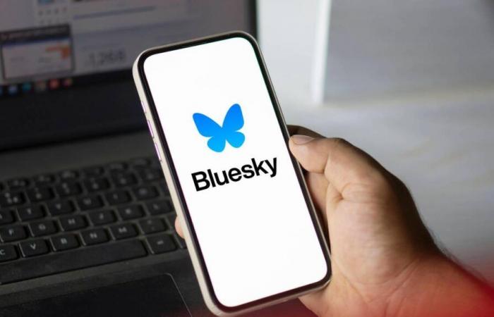 Bluesky, un’Arca di Noè per gli scienziati esasperati da Twitter