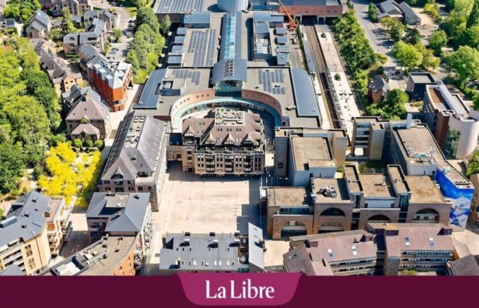 Dall’inverno 2027, il campus di Louvain-la-Neuve si riscalderà a legna