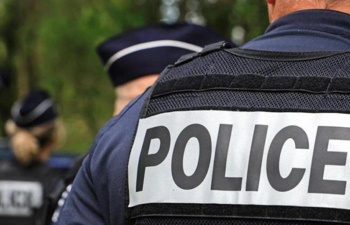 21 persone arrestate nel Sud-Est