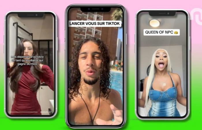 “10.000 euro in tre mesi”: il compenso per le visualizzazioni su TikTok è davvero colossale?