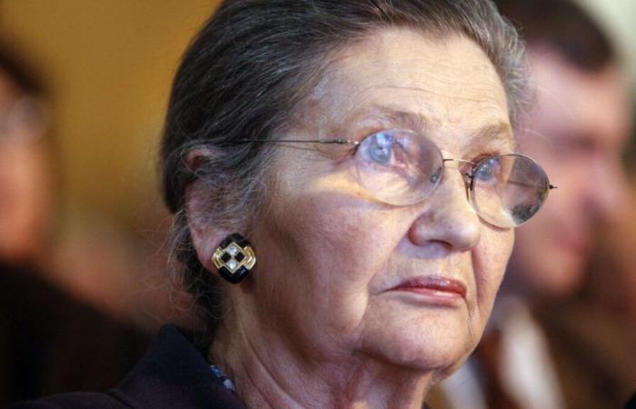 Parigi: un'opera con il volto di Simone Veil deteriorata davanti al Memoriale della Shoah