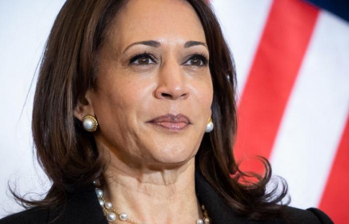 Scopri la villa californiana di 320 m² di Kamala Harris con una gigantesca piscina – Actual Immo