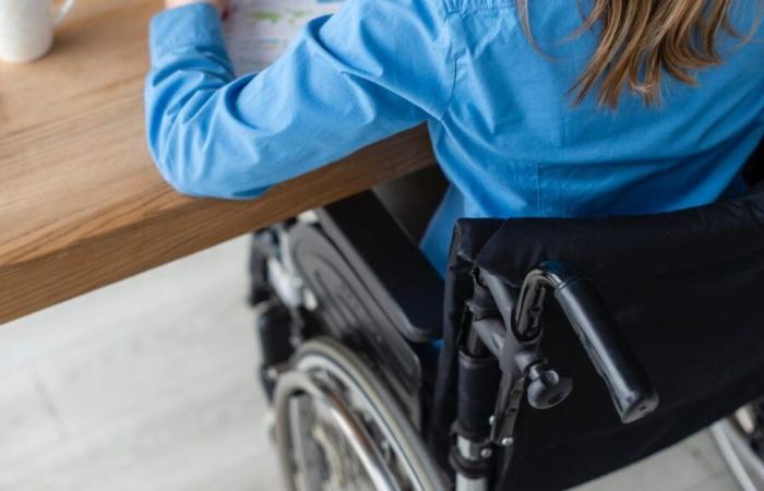 Oltre 20 anni di impegno per l’inclusione delle persone con disabilità