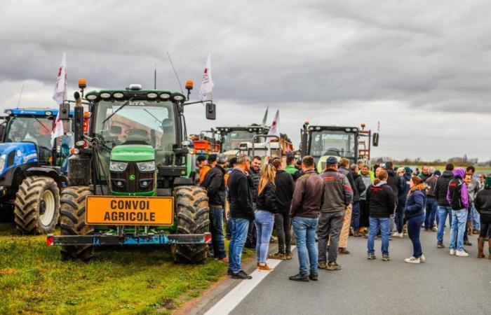 50 trattori in azione per dire no all'abbandono dei terreni agricoli