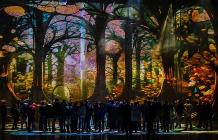 Mosella: “La Halle aux Lumières”, un favoloso racconto coinvolgente e sensoriale