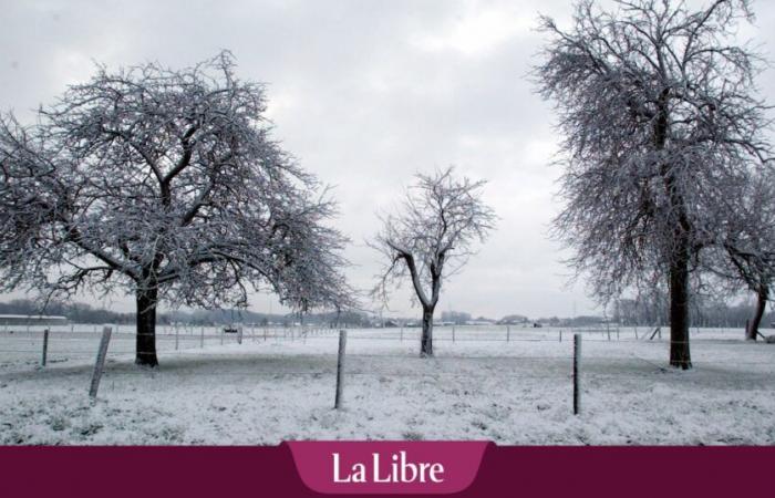 Ritorno della neve in Belgio: “Attraverseremo un flusso d’aria polare e la transizione sarà piuttosto brutale”