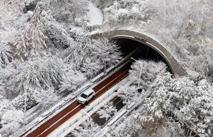 Seul, Corea del Sud, neve: gioia e sconvolgimento quando le nevicate record di novembre colpiscono la capitale