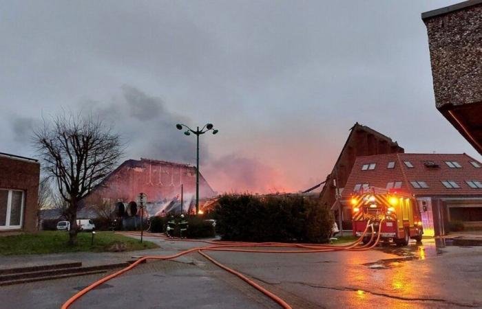 Incendio Sportica: “se tutto va bene”, il palazzetto del basket Gravelines riaprirà nel 2028