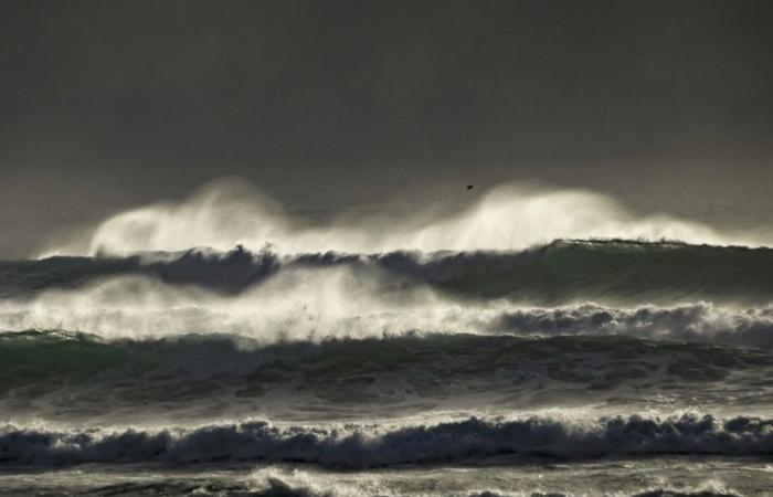 Come è arrivata l’acqua sulla Terra? Una nuova teoria