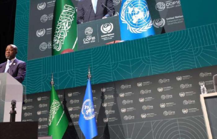 Ambiente: in Arabia Saudita si apre la conferenza Onu sulla desertificazione