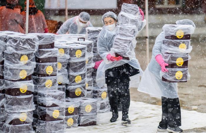 Seul, Corea del Sud, neve: gioia e sconvolgimento quando le nevicate record di novembre colpiscono la capitale