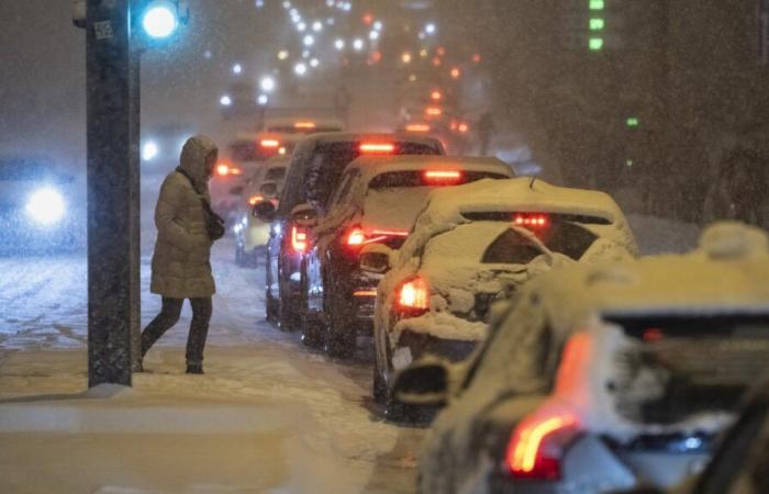 Mercoledì tornerà la neve in pianura