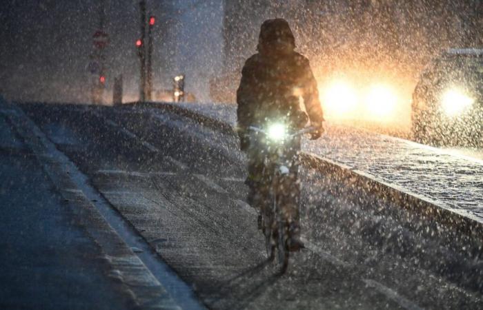 ecco dove e quando dovrebbero cadere i fiocchi di neve