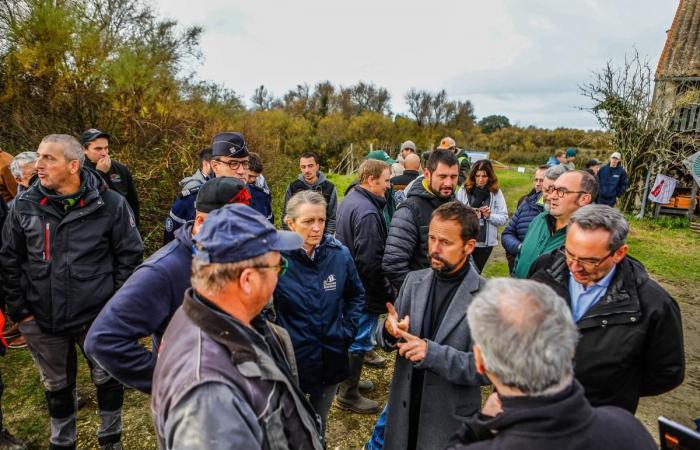 50 trattori in azione per dire no all'abbandono dei terreni agricoli