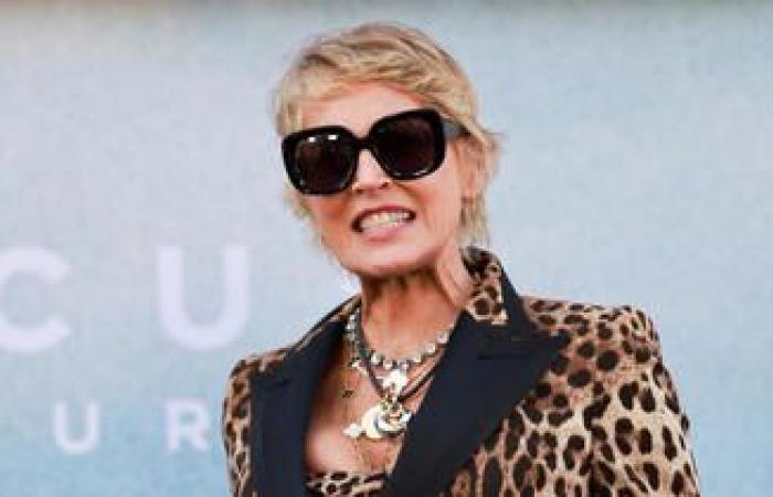 Sharon Stone senza pietà per un regista con cui ha lavorato