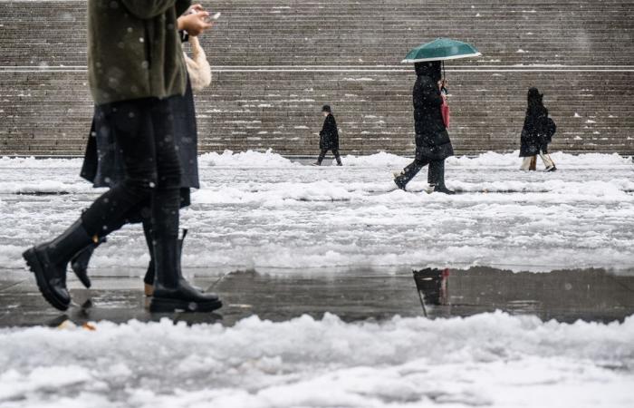 Seul, Corea del Sud, neve: gioia e sconvolgimento quando le nevicate record di novembre colpiscono la capitale