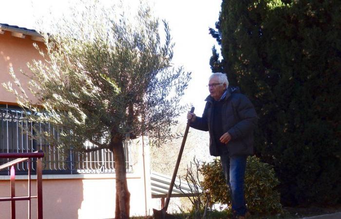 Tra gli eletti di Prayols si radica la tradizione della piantumazione di alberi