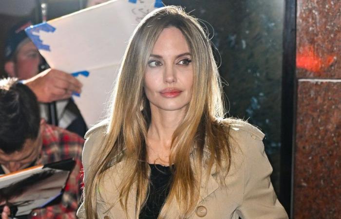 Angelina Jolie considera la sua carriera “un vero dono”