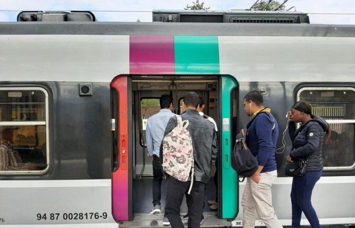 SNCF. Incidente mortale sulla Transilien, traffico interrotto su diverse linee a Seine-Saint-Denis