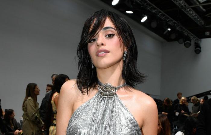 Camila Cabello ammette che l’industria musicale l’ha rafforzata: “Ho costruito un guscio per me stessa”