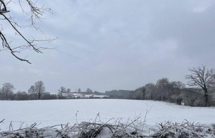 Bollettino meteorologico. Neve in Isère, previsti fiocchi in pianura: ecco quando