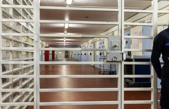 Tre persone incarcerate per omicidio di gruppo organizzato