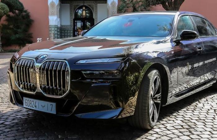 SMEIA-BMW è ancora una volta Trasportatore Ufficiale della FIFM