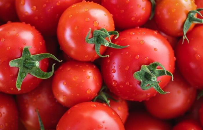 Le salse di pomodoro presentate come “italiane” provengono presumibilmente dal lavoro forzato degli uiguri in Cina