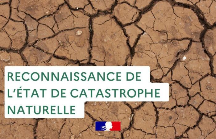 RICONOSCIMENTO DELLO STATO DI DISASTRO NATURALE – Notizie – Azioni dello Stato