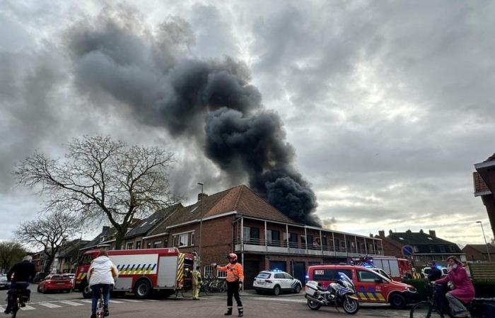 Marnix (60 anni) vede andare in fiamme la sua collezione di auto d’epoca e attrezzature da lavoro: “Ho perso tutto e questo poco prima del mio pensionamento” (Bruges)