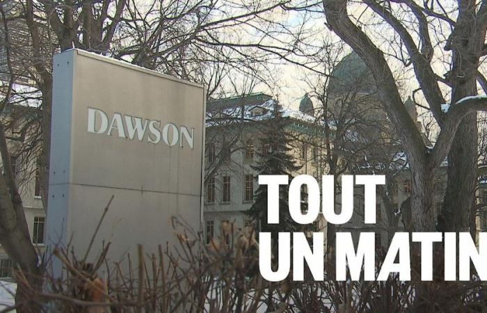 due college presi di mira da un’indagine del Quebec