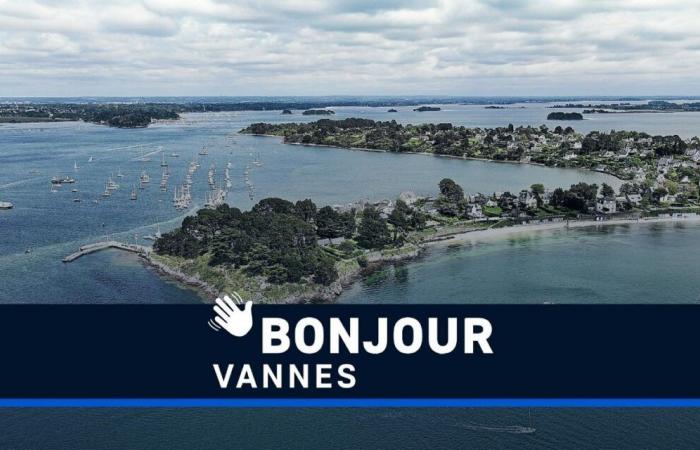 Sughero, RCV, freschezza, Golfo di Morbihan… Ciao Vannes!