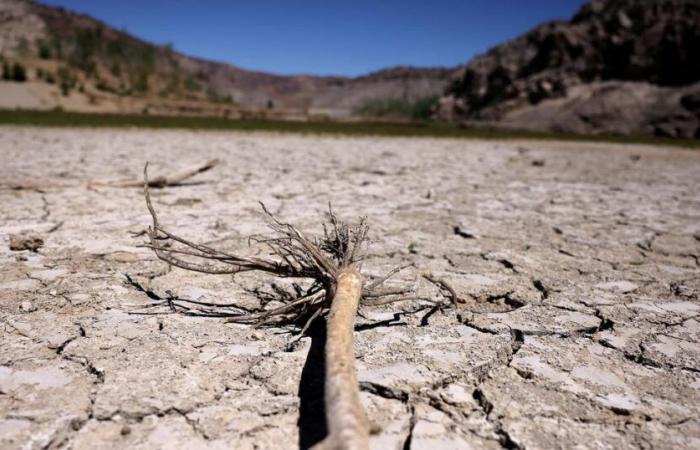 La COP16 sulla desertificazione si apre a Riad per un “momento decisivo”, secondo l’ONU – rts.ch